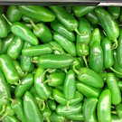 101 Jalapeno Hot Pepper Seeds Vegetable