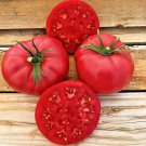51 Pink Ponderosa Tomato Seedsvegetable