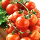 101 Cherry Tomato Seedsvegetable