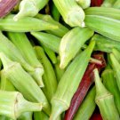 100 Clemson Spineless Okra Seedsvegetable