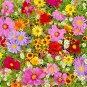 1 Oz Tall Mix Seeds 19Ing Annuals