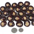 Buckeyes From Ohio Nut Trees Organic Flower Seed Grown Pick Your Count