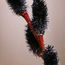 Black Cat Pussy Willow Plant Live Bush Tree Small Starter Fast Growing Tree Spring Flowers