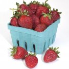 Organic Strawberry Plants Everbearing Strawberries Live Plant Fruit Berries