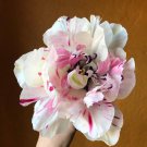 Jonquieres Parrot Tulip Bulbs Flowers Rare Tulips Large Flower Splashed
