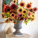 Sunflower Seeds Rainbow Mix Beauty Flowers Organic Flower Seed Grown 25
