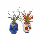 Resin Sugar Skulls Air Plant Sculpture Tillandsia Planted Colorful Candy Sku
