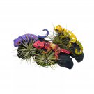 Air Plant Decoration Bobblehead Lizard Colorful Tillandsia And Reptiles Assort