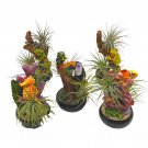 Resin Tropical Animals Air Plant Sculpture Tillandsia Planted Hand Made Art A