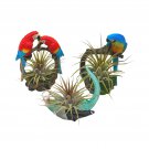 Resin Tropical Bird Air Plant Sculpture Tillandsia Planted Hand Made Art Asso