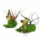 Resin Yoga Frog Air Plant Sculpture Tillandsia Planted Hand Made Art Assorted