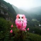 limited offer 50 seeds Pink Cat's eye dazzle Year round Blooms