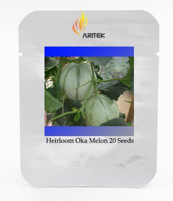 Rare Canadian Heirloom Oka Melon Bizard Island Strain Cucumis Melo Profession...