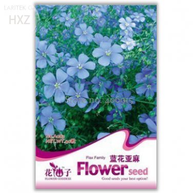 Beautiful Blue Flax 30 balcony potted bonsai for home Seeds, Original Pack, s...