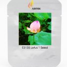 Heirloom Ball Pink Nelumbo Nucifera Lotus Professional 1 / Beautiful Fragrant...