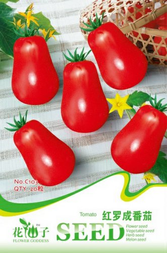 1 20 / Red Roma Cherry Edible Original pack, seeds Organic