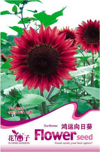 100% True 'Bonanza' Red Ornamental 15 / Seeds, Original Pack Seeds Pack, Ligh...
