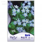 Blue Myosotis Sylvatica 60 perennial potted up your Forget-me Seeds, Original...
