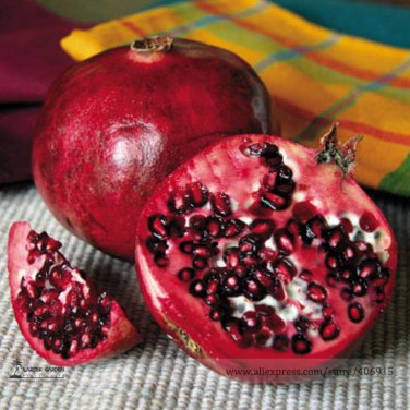 Rare Punica Favorite Delicious Small Fruit Professional 20 / Sweet granatum P...