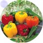 Sweet Bell Mixed 30 Professional yellow red Seeds, Pack, orga...