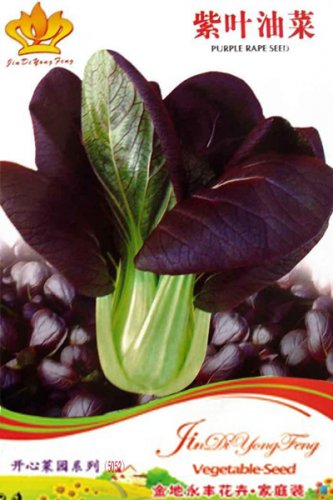 1 approx 30 / Purple Rape Heirloom Original Pack, seeds Non-Gmo O...