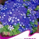 Blue Mexican 1 50 / Beautiful Tropical Whiteweed Ageratum Seeds, Original Pac...