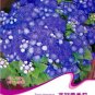 Blue Mexican 1 50 / Beautiful Tropical Whiteweed Ageratum Seeds, Original Pac...