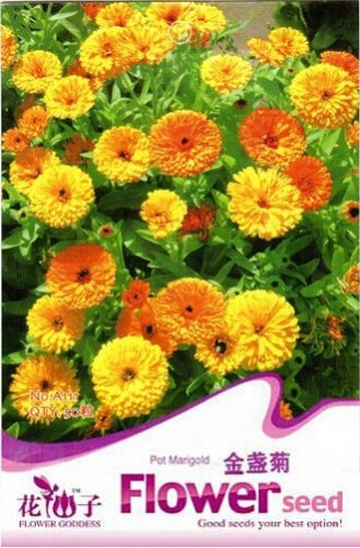1 50 / Calendula OFFICINALIS Decorative and Medicinal Original Pack, Seeds Pa...