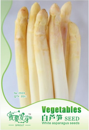 Rare White Chinese 20 / Asparagus Organic Vegetable Seeds, Original Pack, See...