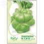 Heirloom Leaf Mustard Brassica juncea , 30 healthy Organic Green Vegetables S...