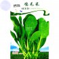Pterocladia tenuis Chinese Little 500 Greens Vegetable Seeds, seeds,...