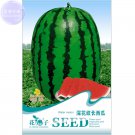 Watermelon Dark Stripe Red Inside Fruit 6 water melon 14% Green Seed...