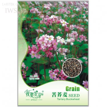 Tartary Buckwheat 35 nutritional value Seeds, Original Pack, high
