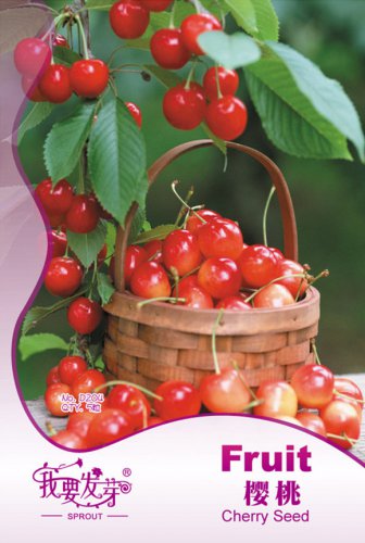 Rare Red Sweet Cherry Fruit 5 / Juicy Seeds, Original Pack, Seeds