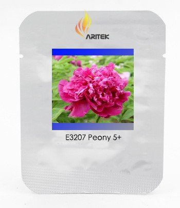 Heirloom 'Zi Zhu Pan' Red Peony Shrub Professional 5 / Indoor Light Fragrant ...