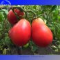 Heirloom Ukraine Red Peal professional 100 Seeds, pack, Seeds