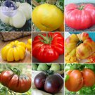 Mixed Giant Vegetable Seeds