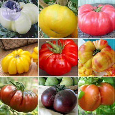 Mixed Giant Vegetable Seeds
