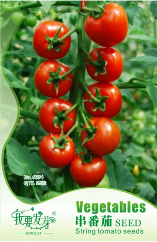 1 25 / Red Truss Heirloom Original Pack, seeds Non-gmo
