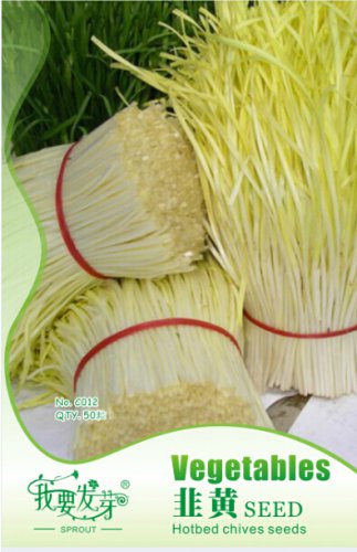 1 50 / Yellow Chinese Chives Hotbed Original Pack, seeds Seeds, NON-GMO...