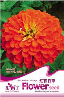 1 50 / Red Zinnia Common Original Pack, seeds Elegans Youth-and-Old-Age