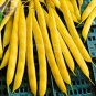 8+ Bush Beans Yellow Wax Bean Seeds, organic vegetables