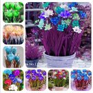 120 Colorful Freesia True Orchid Rhizome Bulbous pcs Seeds Fragrant Gorgeous ...