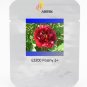 Heirloom Dark Red Middle Peony Tree Professional 5 / Seeds, Pack, Seeds Pack,...