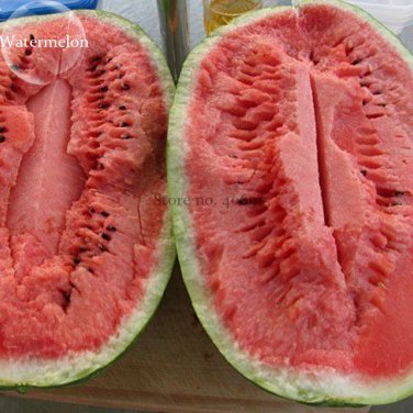 Jubilee Red Mushy Sweet Watermelon, 20 Inside Beautifully Striped Outside Big...
