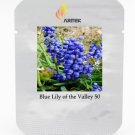 Rare 'Blue Lily of the valley Convallaria majalis Perennial Professional 50 /...