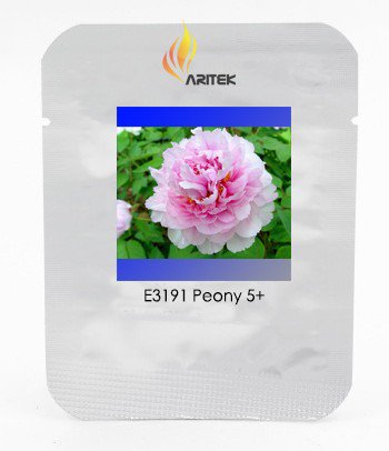 Very Rare 'Fen Pink Pretty Perennial Peony Professional 5 / Zhong Guan' Seeds...
