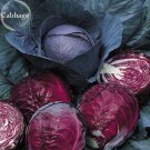 Red Drumhead 100 salad Cabbage Organic Vegetables, seeds,