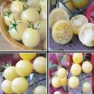 Heirloom White Cherry Fresh Fruit 100 delicious and nutritious Organic Vegeta...