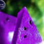 New Purple Watermelon 20+ Seeds